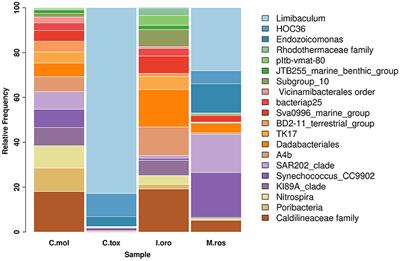 Characterizing the bacterial communities associated with Mediterranean sponges: a metataxonomic analysis